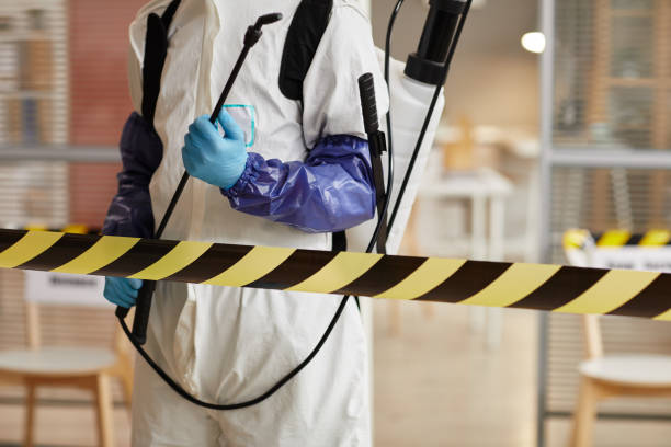 Professional Blood Cleanup technician working in Pittsburg, TX