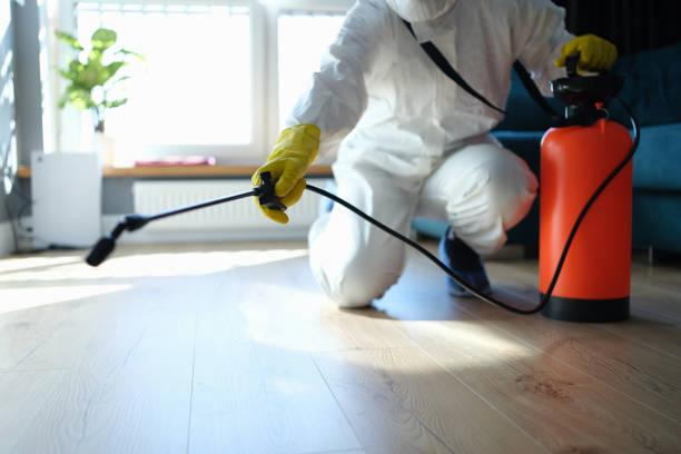 Reliable Blood Cleanup contractor in Pittsburg, TX by Trauma Clean Pros